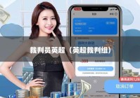 裁判员英超（英超裁判组）