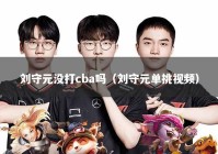 刘守元没打cba吗（刘守元单挑视频）